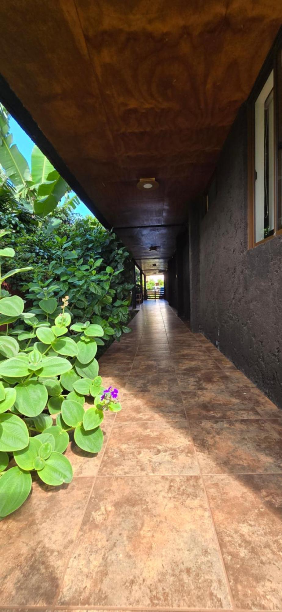 Apartamentos Tupuna Lodge Hanga Roa Værelse billede